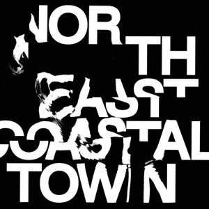 LIFE - North East Coastal Town album cover