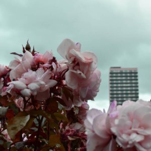 Badger Democracy Manifest EP cover