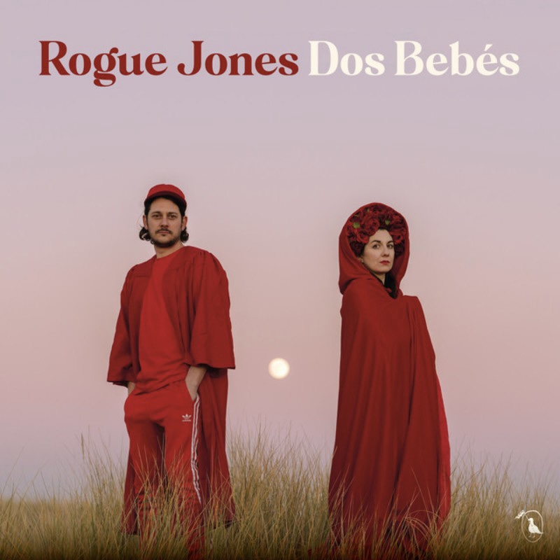 Rogue Jones Dos Bebés album cover 